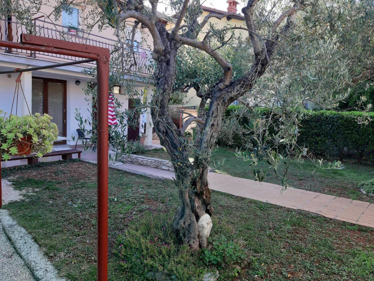 Studio Rocco Novigrad Istria Exterior foto
